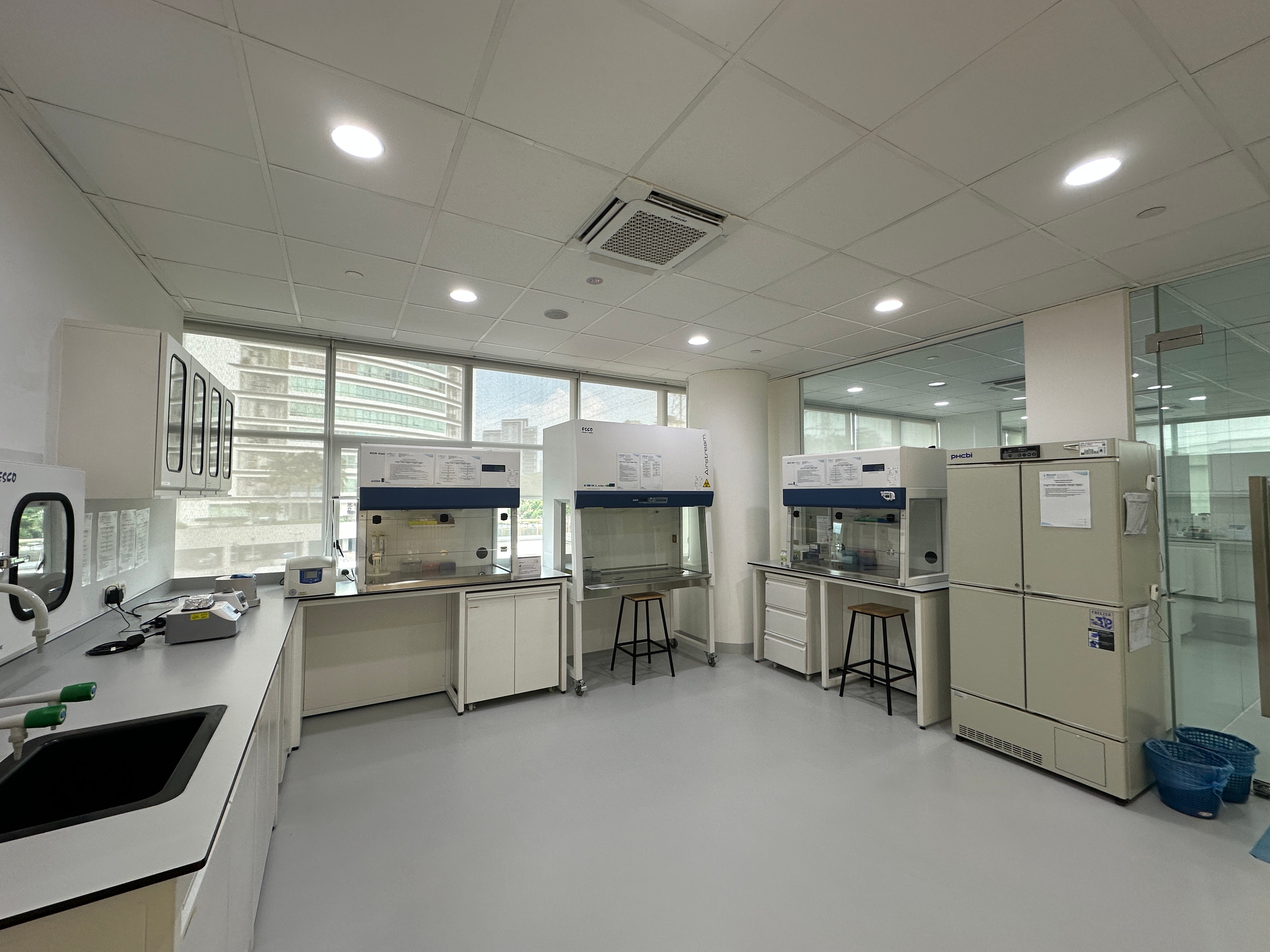 Molecular Lab 1