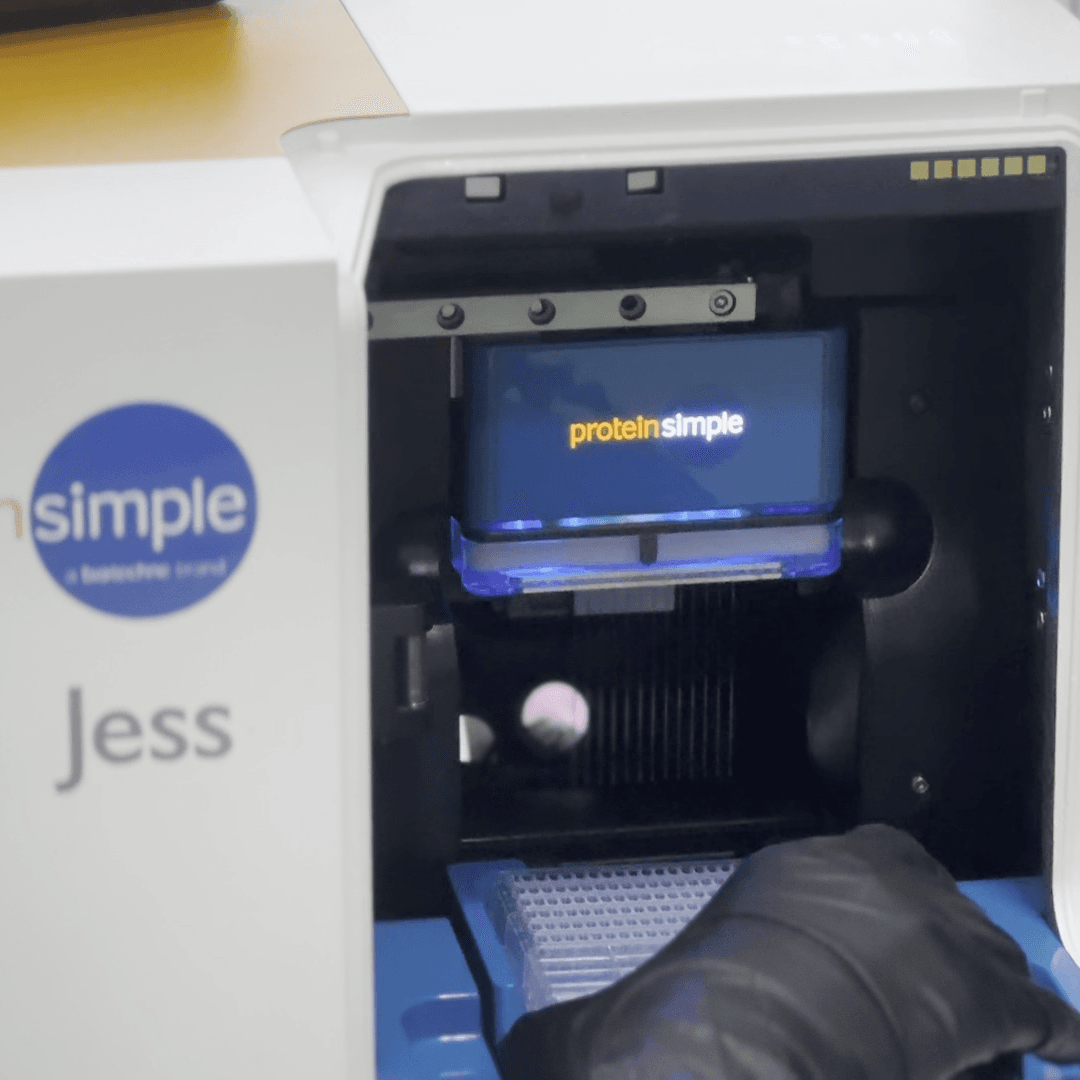 Jess™ Automated Western Blot System​